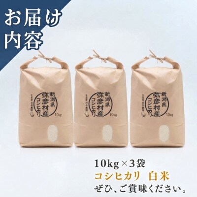 【令和8年産 新米受付】新潟県弥彦村石井農園　コシヒカリ【白米 30kg】