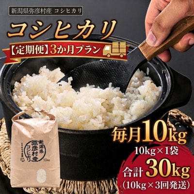 【毎月定期便】【毎月定期便】新潟県弥彦村石井農園コシヒカリ白米10kg×3か月全3回