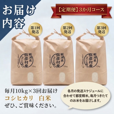 【毎月定期便】【毎月定期便】新潟県弥彦村石井農園コシヒカリ白米10kg×3か月全3回