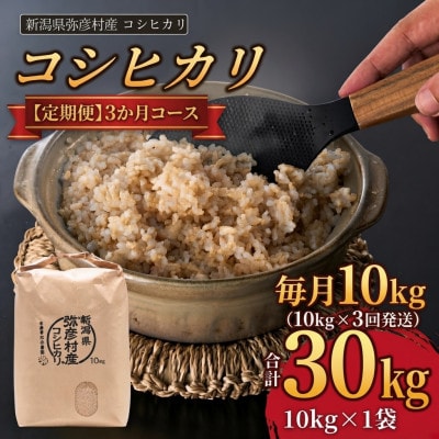 【毎月定期便】新潟県弥彦村　石井農園コシヒカリ　玄米10kg×3か月全3回