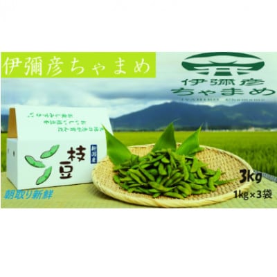 【朝どり新鮮】旬の枝豆を直送、豊かな風味の伊彌彦ちゃまめ 3kg(1kg×3袋)【サンファーム大戸】