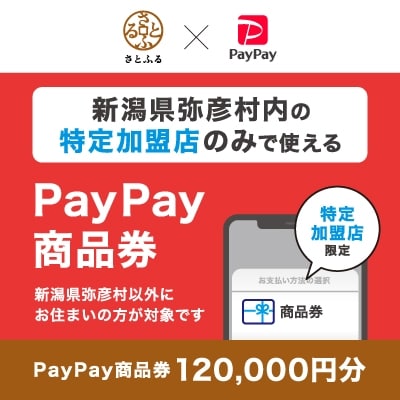 新潟県弥彦村　PayPay商品券(120,000円分)※地域内の一部の加盟店のみで利用可