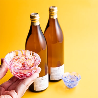 日本盛　しぼりたて原酒・大吟醸セット