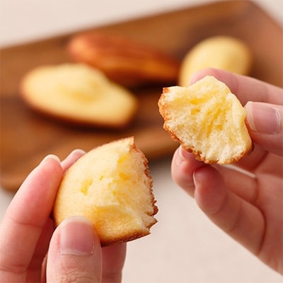 アンリ シャルパンティエ フィナンシェ マドレーヌ詰め合わせ16コ入り お礼品詳細 ふるさと納税なら さとふる