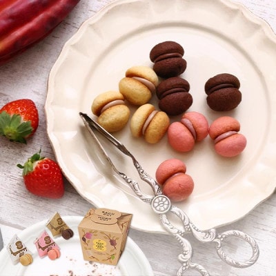 【シーキューブ】サクッチ・ホロッチ　12個入　CSC-12RC