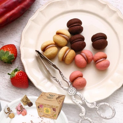 【シーキューブ】サクッチ・ホロッチ　21個入　CSC-21RC