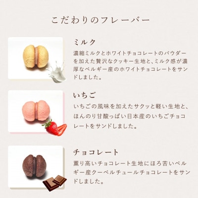 【シーキューブ】サクッチ・ホロッチ　21個入　CSC-21RC