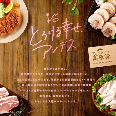【ふるさと納税】アンデス高原豚使用 ロースカツ 290g (4枚)×10袋 計2.9g 冷凍 おかず