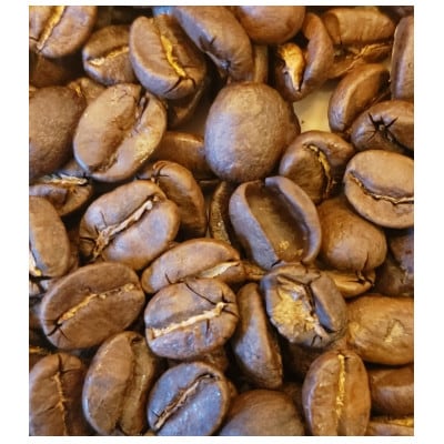 厳選コーヒー豆100g×5種類セット