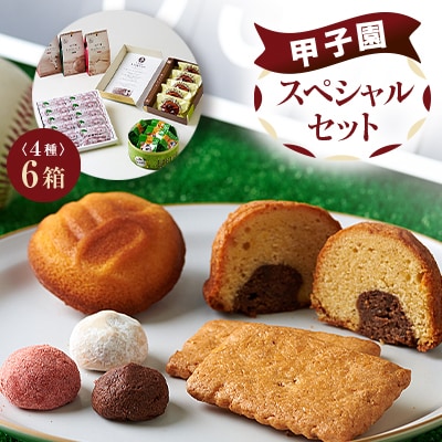 パティスリーベルン特製　甲子園スペシャルセット