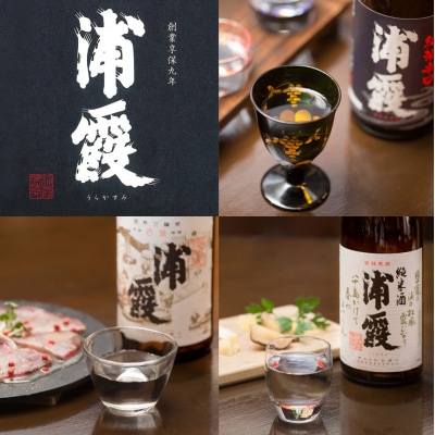 日本酒 浦霞 飲み比べ 3本セット 宮城 佐浦 四合瓶 720ml 純米辛口 純米酒 贈答品 ギフト