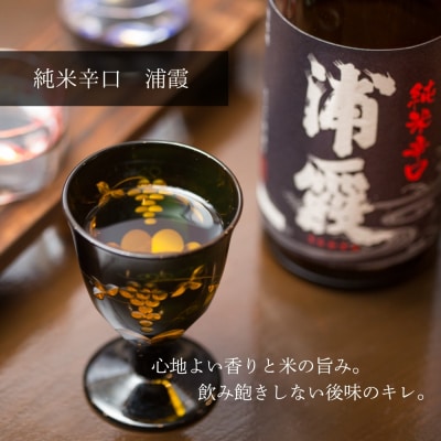 日本酒 浦霞 飲み比べ 3本セット 宮城 佐浦 四合瓶 720ml 純米辛口 純米酒 贈答品 ギフト