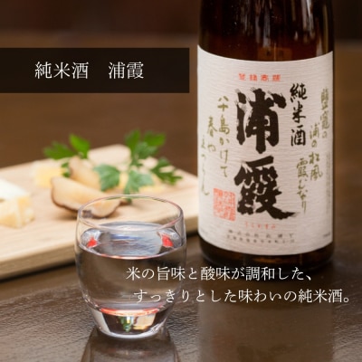 日本酒 浦霞 飲み比べ 3本セット 宮城 佐浦 四合瓶 720ml 純米辛口 純米酒 贈答品 ギフト