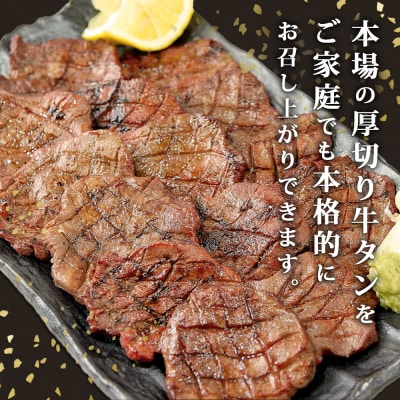 牛タン 熟成厚切り 塩味 500g 冷凍 焼肉 バーベキュー 牛たん 熟成牛たん 宮城県 A