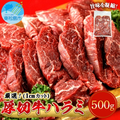 ハラミ 厚切 味付き 牛ハラミ 500g 冷凍 牛肉 味付 焼肉 バーベキュー BBQ 宮城 B