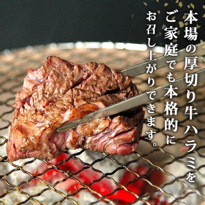 ハラミ 厚切 味付き 牛ハラミ 500g 冷凍 牛肉 味付 焼肉 バーベキュー BBQ 宮城 B