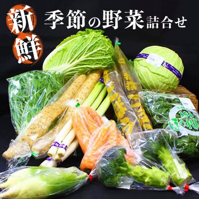 新鮮 季節の野菜 おまかせ詰め合わせセット 宮城県 東松島市 野菜 産直