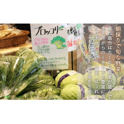 新鮮 季節の野菜 おまかせ詰め合わせセット 宮城県 東松島市 野菜 産直