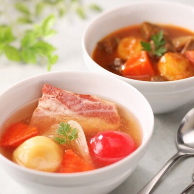 スープ ごろっと具材の洋食 3種6食 常温保存 個包装 レトルト 国産 常温保存 レンチン 宮城県 