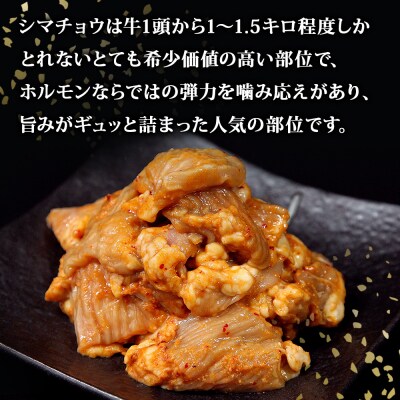 希少 牛シマ腸 辛みそ 1.8kg(300g×6P) 小分けパック G