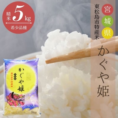 【令和7年産】 新米 宮城県産 超稀少品種 かぐや姫 精米 5kg 宮城県 東松島市 天授のお米 米