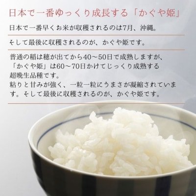 【令和6年産】 新米 宮城県産 超稀少品種 かぐや姫 精米 5kg 宮城県 東松島市 天授のお米 米