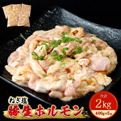 豚生ホルモン ねぎ塩 2kg 冷凍 小分け 焼肉 バーベキュー 宮城県 東松島市 H