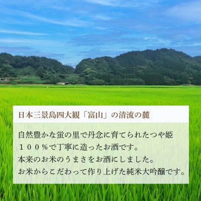 純米大吟醸 「白銀の天酒」 銀ラベル 720ml G