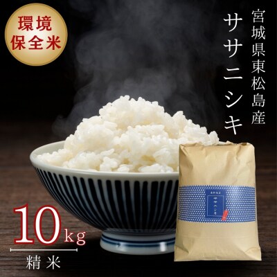 【令和7年産】 宮城県産ササニシキ(精米)  10kg 米 ささにしき ササニシキ 宮城県産 