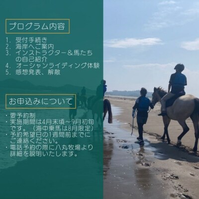 海での乗馬体験～ 初心者向け ～ オーシャンライディング ペア チケット 乗馬 初心者向け 体験