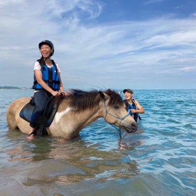 海での乗馬体験～ 初心者向け ～ オーシャンライディング ペア チケット 乗馬 初心者向け 体験
