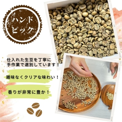 ドリップバッグコーヒー 自家焙煎 アソートセット 合計 50袋 (5種×各10袋) コーヒー E