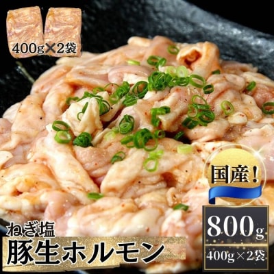 国産 豚 生ホルモン ねぎ塩味 800g(400g×2パック) 冷凍 小分け 味付 簡単 AA