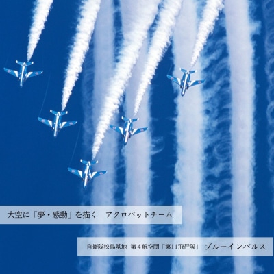 ブルーインパルス黒澤英介写真集【1】 ブルーインパルス Blue Impulse 第11飛行隊