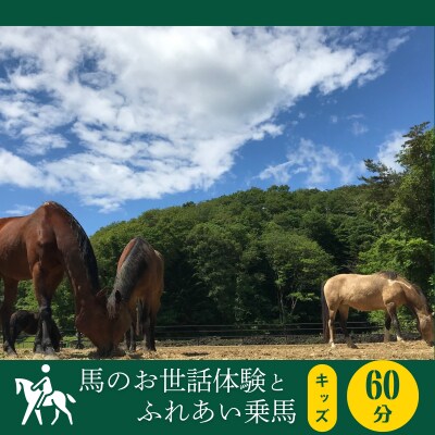 馬のお世話体験とふれあい乗馬【 キッズ 】 体験 アクティビティ レジャー 夏休み 旅行 馬 