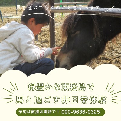 馬のお世話体験とふれあい乗馬【 キッズ 】 体験 アクティビティ レジャー 夏休み 旅行 馬 