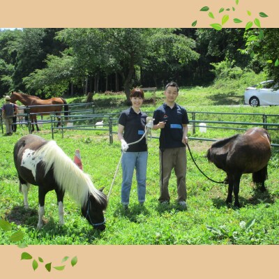 馬のお世話体験とふれあい乗馬【 キッズ 】 体験 アクティビティ レジャー 夏休み 旅行 馬 