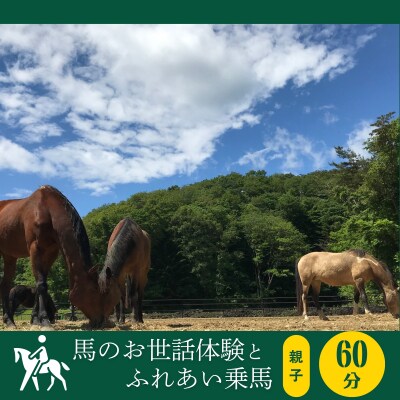 馬のお世話体験とふれあい乗馬【 親子 】 体験 アクティビティ レジャー キッズ 夏休み 旅行 馬 