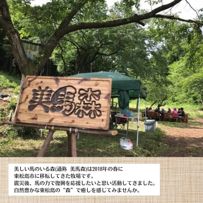 馬のお世話体験とふれあい乗馬【 親子 】 体験 アクティビティ レジャー キッズ 夏休み 旅行 馬 