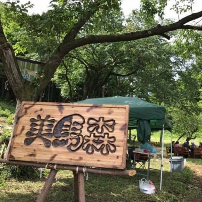 美馬森キャンドル(東松島産材スウェーデントーチ)