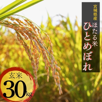 【令和7年産米】ほたる米 ひとめぼれ 玄米 30kg 特別栽培米 宮城県産
