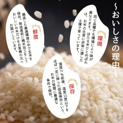 【令和7年産米】ほたる米 ひとめぼれ 玄米 30kg 特別栽培米 宮城県産