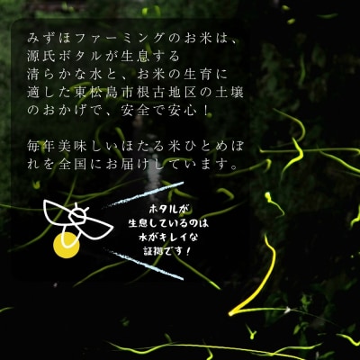 【令和7年産米】ほたる米 ひとめぼれ 玄米 30kg 特別栽培米 宮城県産