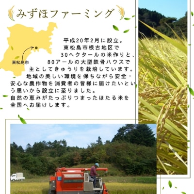 【令和7年産米】ほたる米 ひとめぼれ 玄米 30kg 特別栽培米 宮城県産