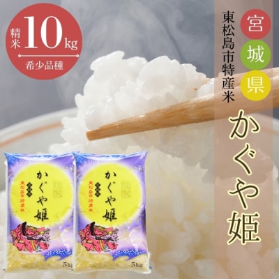 【令和7年産】 新米 宮城県産 超稀少品種 かぐや姫 精米 10kg 宮城県 東松島市 お米 米