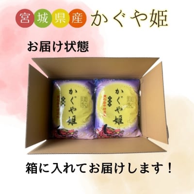 【令和7年産】 新米 宮城県産 超稀少品種 かぐや姫 精米 10kg 宮城県 東松島市 お米 米