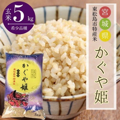 【令和7年産】 新米 宮城県産 超稀少品種 かぐや姫 玄米 5kg 宮城県 東松島市 天授のお米 米