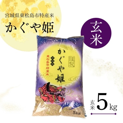 【令和7年産】 新米 宮城県産 超稀少品種 かぐや姫 玄米 5kg 宮城県 東松島市 天授のお米 米