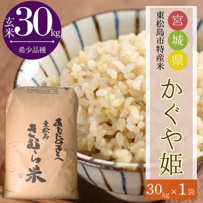 【令和7年産】 新米 宮城県産 超稀少品種 かぐや姫 玄米 30kg  東松島市 天授のお米 米