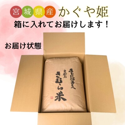 【令和7年産】 新米 宮城県産 超稀少品種 かぐや姫 玄米 30kg  東松島市 天授のお米 米